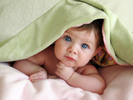 Thumbnail 780 Babies Articles - High Quality Articles - PLR Thumbnail 780 Babies Articles - High Quality Articles - PLR