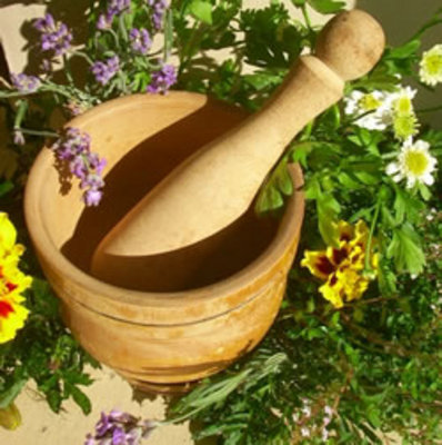 Product picture 500 Alternative Medicine Articles