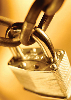 Product picture 530 Security Articles - High Quality Articles - PLR