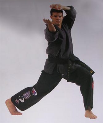 Product picture 175 Martial Arts Articles - High Quality Articles - PLR